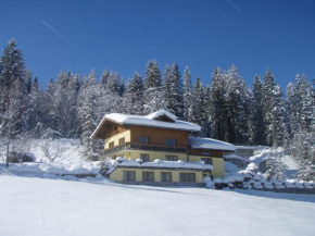 Отель Austrian Alps - Haus Kienreich, Альтенмаркт